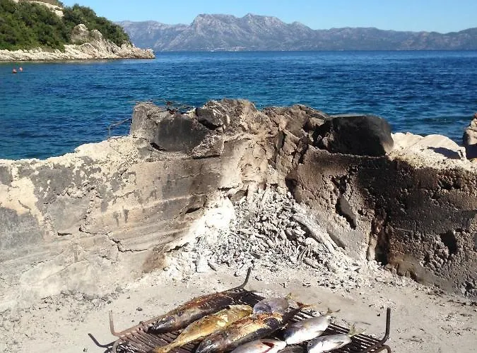 Velika Prapratna-mala Vala,veliki Uzitak